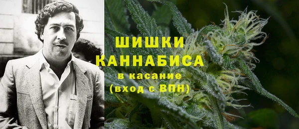 дживик Болотное
