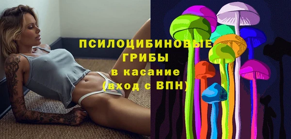 марки lsd Нязепетровск