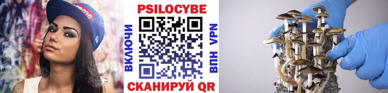 купить закладку  Сосенский  Галлюциногенные грибы GOLDEN TEACHER 